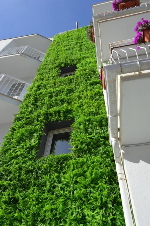 Mar Del Plata (adults Only) 2* Playa de Palma (Mallorca)