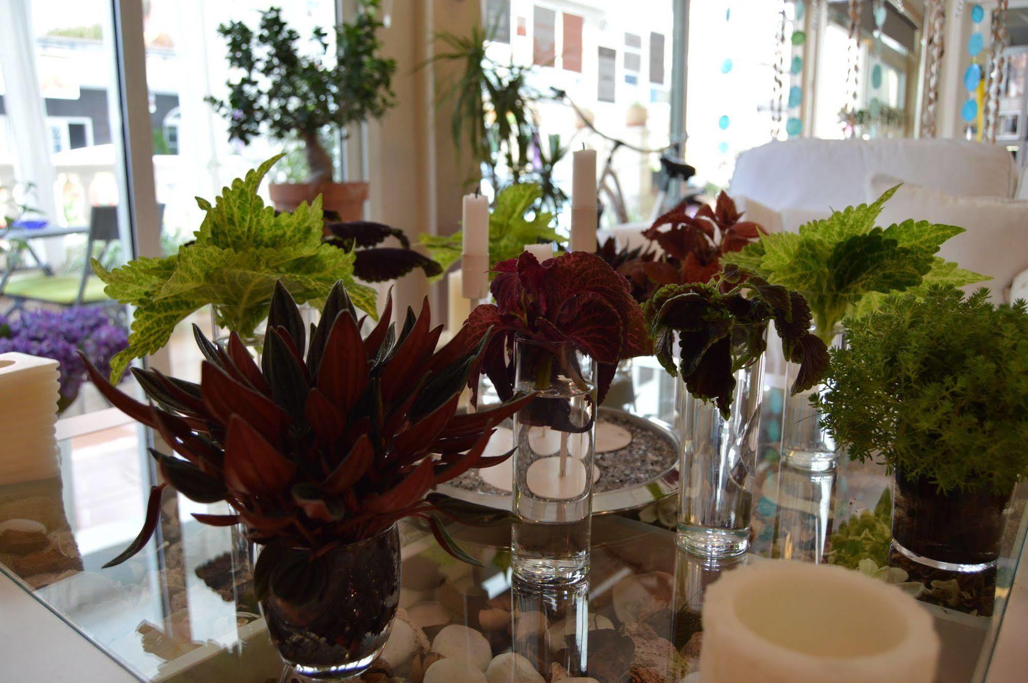 Mar Del Plata (adults Only) Guest house 2*